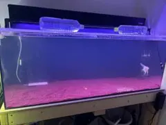 (三重県より)1200アクリル水槽一式のサムネイル