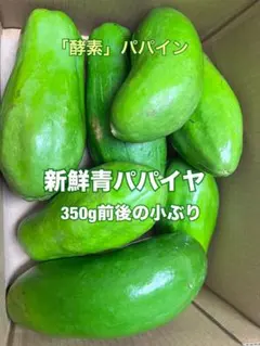小ぶり新鮮青パパイヤ箱込み6K - メルカリ