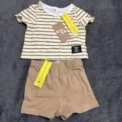Cozy Cub ストライプ Tシャツとショートパンツセット 1-3M