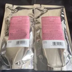 オルビスエッセンスイン トリートメント ヘア ウォーター詰替■２点