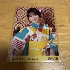 2026年最新】乃木坂 浴衣 座りヨリの人気アイテム - メルカリ