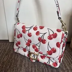 希少【美品】COACH コーチ チェリープリントCY935 ハンドバッグ2way