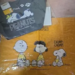 PEANUTS スヌーピー ビッグスクエアバッグ　目隠しできる収納バッグ