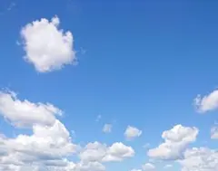 ちゃま様◎専用ページ◎moamaman