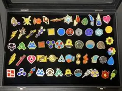 受注生産 ポケモンセンター バッジコレクション 3種コンプリートセット