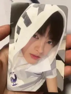 コルティス タレントカード