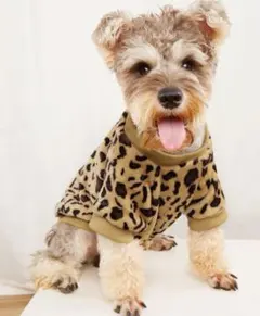 Item thumbnail for item f95b7ba1-1713-4bbc-803f-41f11d733622