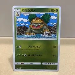 ハヤシガメ PROMO DPプロモーションカード 034/DP-P - メルカリ