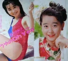 石野真子 1978年〜1983年 大量 切り抜き ファイル 2冊 120P - メルカリ