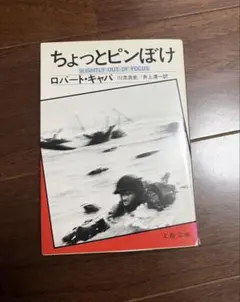 Item thumbnail for item c284d8e6-6822-4e94-91fb-957cfce83231