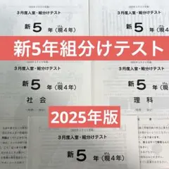 2026年最新】sapix 新4年 入室テストの人気アイテム - メルカリ