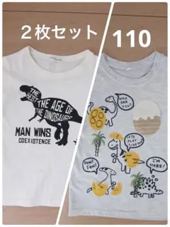 3can4on 恐竜デザイン Tシャツ 2枚セット 110cmのサムネイル