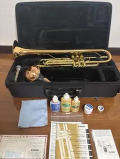 Item thumbnail for item 4d1a9625-8772-4fa6-8a73-90599412b103