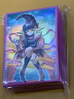遊戯王　カードプロテクター ZEXALver 70枚セット　ゼアル スリーブ 遊戯王 カードプロテクター ZEXALver 70枚セット ゼアル スリーブ