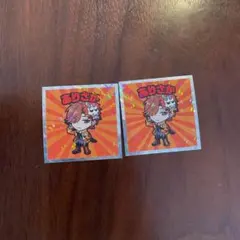 クレイジーラクーンマンチョコ　ありさか＆α