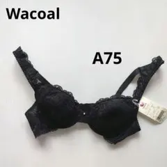 タグ付き新品未使用Wacoal　ブラジャー黒　A75