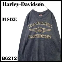 HARLEY-DAVIDSON ハーレー　ロンT Lサイズ HARLEY DAVIDSON ハーレーダビッドソン 赤 ビッグサイズ ロンT