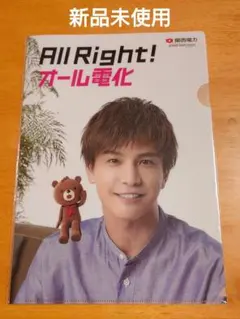 【新品未使用】岩田剛典 関西電力 クリアファイル