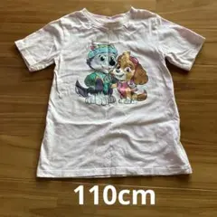 【used】パウパトロール　スカイ　エベレスト　半袖Tシャツ