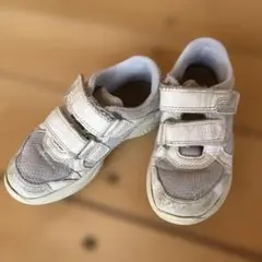 Item thumbnail for item fadcce54-0775-41e7-ae1f-8f84560cbd9e