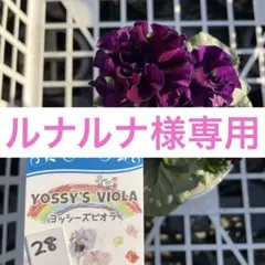 ルナルナ様専用