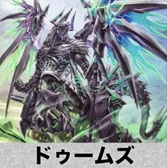 【2点以上値引き対象】 ドゥームズ