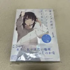 青春ブタ野郎はサンタクロースの夢を見ない 1〈完全生産限定版〉 DVD