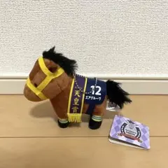 サラブレッドコレクション