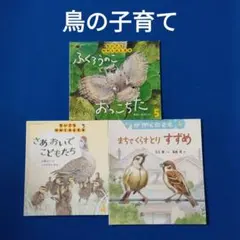かがくのとも 鳥の子育て すずめ かるがも フクロウ 福音館 - メルカリ