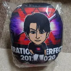 【未開封】白濱亜嵐 ミニクッション 2012→2020 ツアーTシャツ