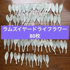 2026年最新】ハンドメイド ドライフラワーの人気アイテム - メルカリ