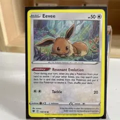 ポケモンカード Eevee 海外限定エラーカード 枠ずれエラー