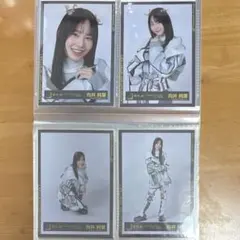 櫻坂46 向井純葉 生写真 UDAGAWA GENERATION コンプ