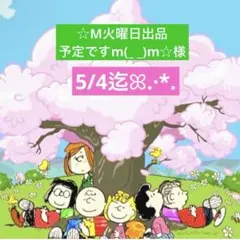 ☆M火曜日出品予定ですm(_ _)m☆様 専用ページ