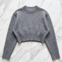 ミースロエ MIESROHE ショート丈 シャギーコンパクトニット セーター