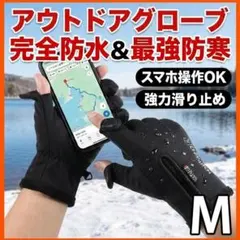 Item thumbnail for item 7613daa0-0257-4d7d-b457-444387587e80