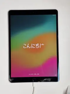 iPad Pro 10.5インチ 256GB Wi-Fiモデル（US版）