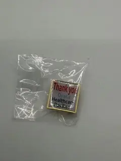 限定品 非売品 大阪関西万博 2025 ヘルスケアパビリオン ピンバッジ 未