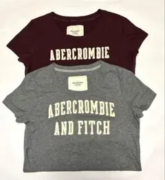ABERCROMBIE AND FITCH半袖Tシャツ 2枚セットL