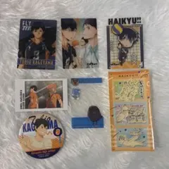 ハイキュー　影山飛雄 グッズまとめ　カード　缶バッジ　ファンパーク