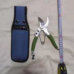 Item thumbnail for item e1b575b3-515a-4dcb-806d-4a063b01455d