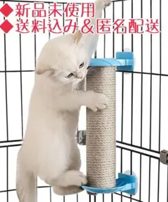 Item thumbnail for item e275c00c-836e-4635-b10c-bae2dfb742f9