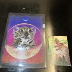 シムシメール『帰還』シルクスクリーン◆直筆サイン有◆人気作家！イルカ地球 シムシメール『帰還』シルクスクリーン◇直筆サイン有◇人気作家