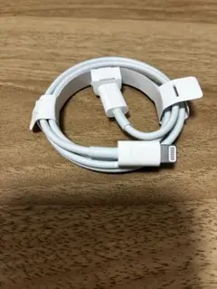 Apple Lightningケーブル ホワイト