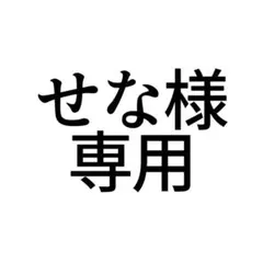 専用ページ