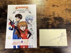 エヴァストア 特典 2種 ポストカード エヴァンゲリオン