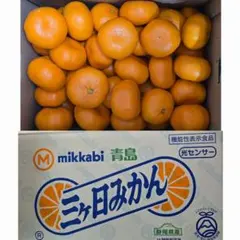 静岡県産　三ケ日みかん　2Lサイズ　箱入7kg　優