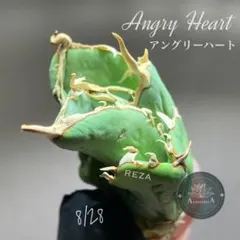 2025年最新】アングリーハートの人気アイテム - メルカリ