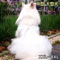 犬服 中型犬大型犬 ウェディングドレス 結婚式 フォーマルドレス:3XL