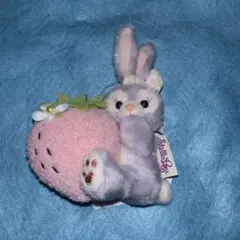 2025年最新】ステラルー フェルトの人気アイテム - メルカリ